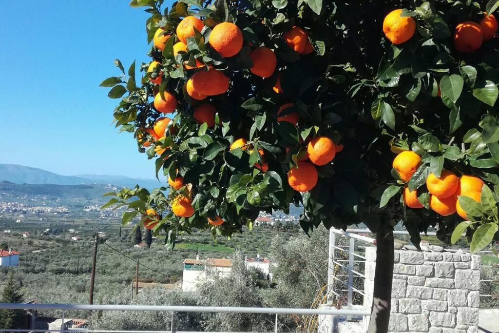 Apartamento Nafplio, Hill With An Amazing View Exterior foto