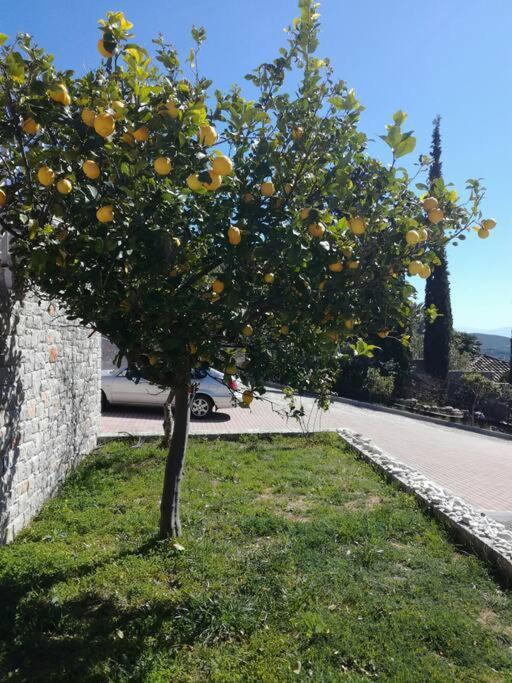 Apartamento Nafplio, Hill With An Amazing View Exterior foto